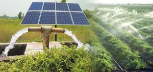 Solar Water Pumps