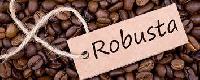 Robusta Coffee Beans