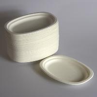 fibre disposable plate