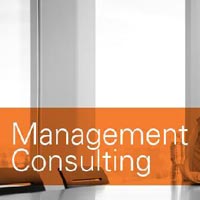 management consultation services