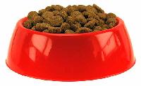 Dog Feeding Bowl