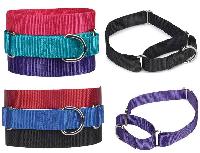 nylon dog collars