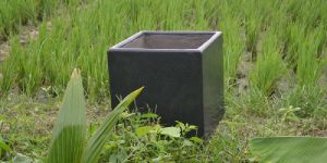 Square Shaped Big Planters