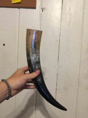 viking Horn