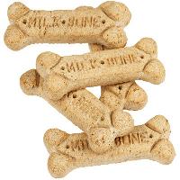 Dog Biscuit