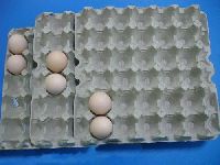 Pulp Egg Tray