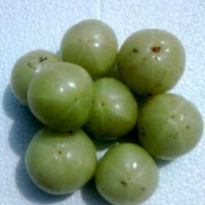 Fresh Amla