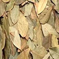 Dried Bay Leaves