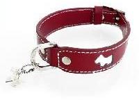 pet collars