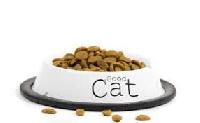 cat foods