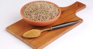 Cumin Powder- NMP Udhyog