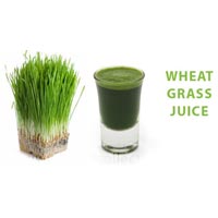 Aloe Vera Wheatgrass Juice