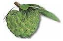 Custard Apple