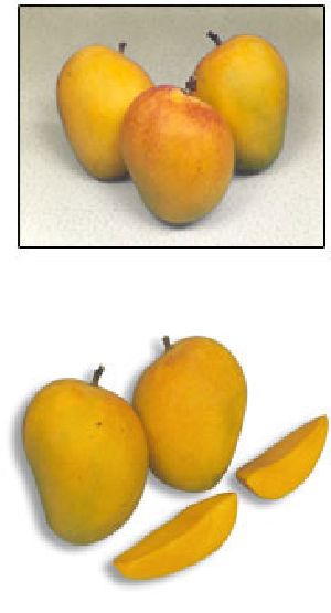 Mangoes