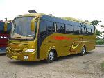 Luxury Executive Buses