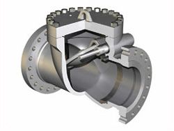 Swing Check Valve