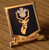 school badge