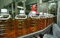 Rbd Palm Oil