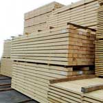 Timber Wood