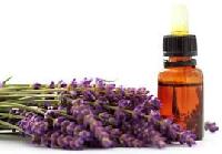 aromatherapy essential oils lavender