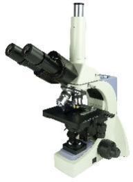 Biological Microscope