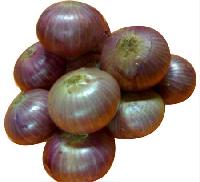 Onion