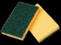 Scouring Pad