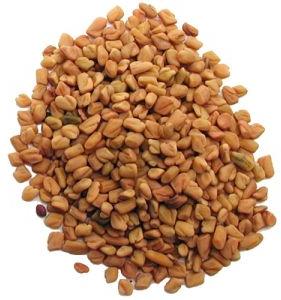 Fenugreek Seed