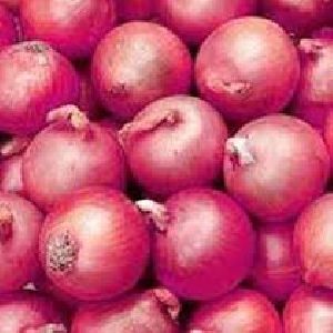 Onions