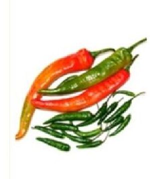 Fresh Chilli