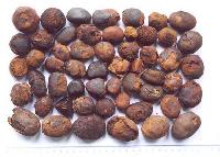 Ox Gallstones