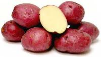 Red Potato