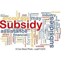Capital Subsidy Services