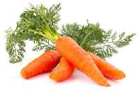 Fresh Carrot