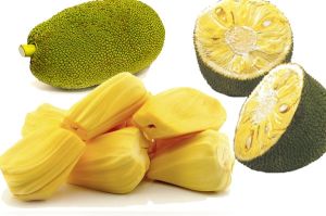 Fresh Jackfruit