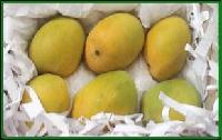 Alphanso Mangoes