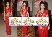 Designer Sarees