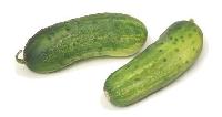 CUCUMBER SMALL