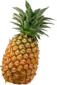 Fresh Pineapple