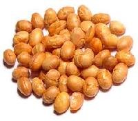soya protein nuts