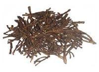 Clove Stems