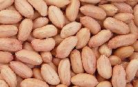 Peanut Kernels