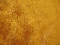 plush fur fabrics