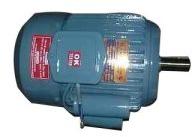 Ac Induction Motor