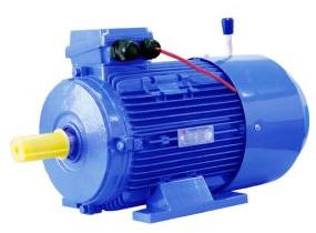 Three Phase Electric Motor