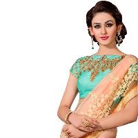 Designer Saree 2513