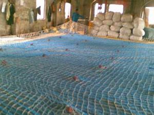 SWIMMING POOL NETS