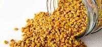 Fenugreek Seeds