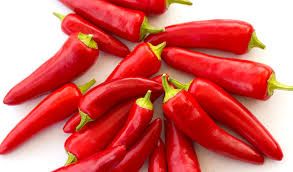 Fresh Red Chilli