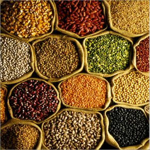 Indian Pulses